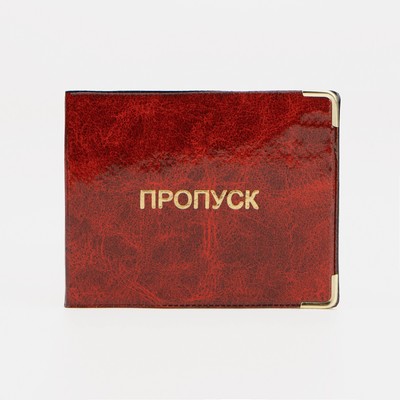 Обложка Пропуск глянц. 
